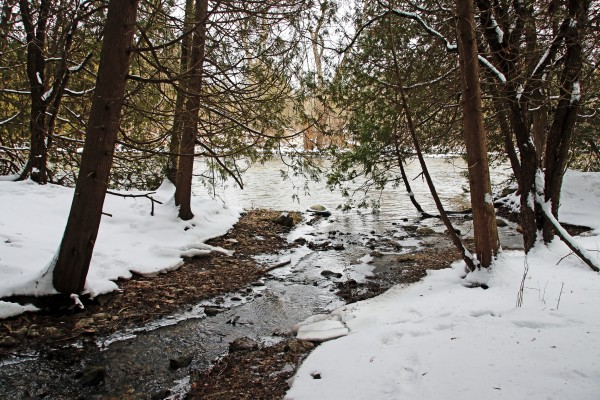 Winter Creek II by Deb Oppermann